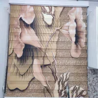 پرده زبرا دو مکانیزه