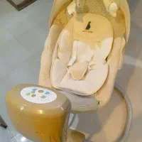 گهواره برقی پیر کاردین