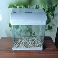 اکواریوم شیشه خم شرکتی ماهیران|ماهی|کرج, دولتآباد|دیوار