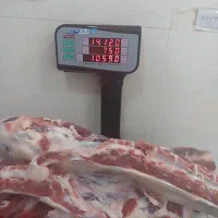 قصاب وقت شناس منظم