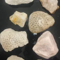 سنگ های عقیق عصلی ، ،کوارتز ،سیترین،صف دو کفه ای|کلکسیون و سرگرمی|چالدران, |دیوار