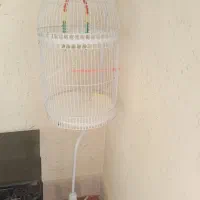 قفس ایستاده