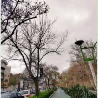 تور و گردشگری