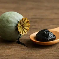 روغن و عصاره دانه خشخاش|آرایشی، بهداشتی، درمانی|تهران, جمهوری|دیوار