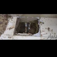 نشت یابی لوله های آب و فاضلاب بادستگاه
