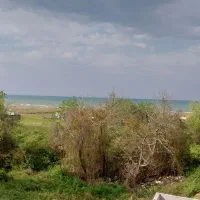 هتل، سوئیت، اتاق، انزلی اینجا سر گردنه نیست