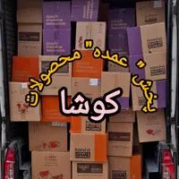 پخش ظروف یکبارمصرف در کرج،فردیس،اندیشه،شهریار|عمده‌فروشی|کرج, ساسانی (قلمستان)|دیوار
