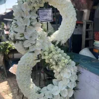 گلسرایی ارکیده.  با ارسال رایگان