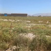 فروش زمین کشاورزی
