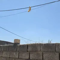 فروش سیم کارت با قیمت پیشنهادی شما