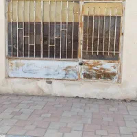 یک باب مغازه در مامونیه