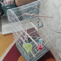 قفس زینتی بزرگ باتمام تجهیزات|لوازم جانبی حیوانات|فولادشهر, A2|دیوار