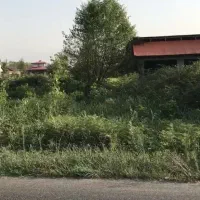 ۱۱۰۰ متر فومن شفت بر جاده اصلی|فروش زمین و ملک کلنگی|تهران, تهرانپارس غربی|دیوار