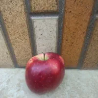 بازاریاب خانم در اهواز برای جذب مشتری عراقی (سیب)|استخدام بازاریابی و فروش|اهواز, ۲۰۰۰واحدی|دیوار