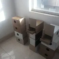 لانه عروس هلندی