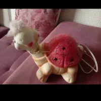 چراع خواب نو