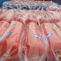 فروش و اجاره شارژ کپسول آتش نشانی /سنسور/جعبه|خدمات پیشه و مهارت|تبریز, |دیوار