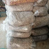 فروش خرما شاهانی