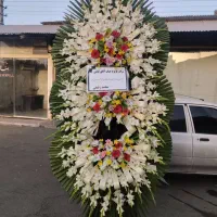 تاج گل ختمی و جشنی