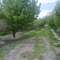 باغ۱۶۰۰متردوردیوارداخل مجتمع ونیم ساعت آب امرغان