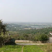 زمین باغ ویودار بزچفت بابلکنار