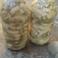 ترشی بیلهر