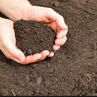 نمایندگی فروش کود حیوانی سرند شده|خدمات باغبانی و درختکاری|زاهدان, |دیوار