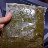 سبزی قورمه