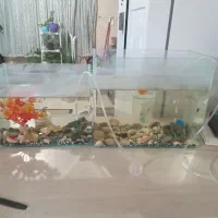 دوعدد آکواریم باقیمتی مناسب