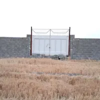 زمین-گاوداری