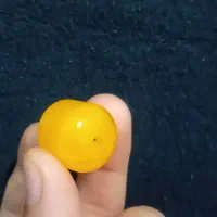 مهره|جواهرات|رشت, چله خانه|دیوار