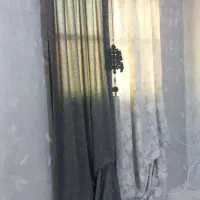 پرده و فرش|فرش|اشتهارد, |دیوار