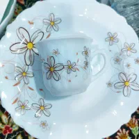 لوازم آشپزخانه کارکرده در حد نو|ظروف سرو و پذیرایی|مشهد, رده|دیوار