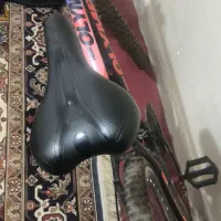 موبایل سالم سالم