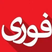 نیازمندضامن