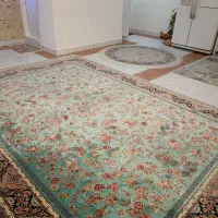 فرش 9متری|فرش|رشت, کوی جام جم|دیوار