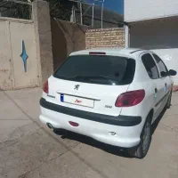پژو ۲۰۶ تیپ ۲ دور رنگ شاسی پلم