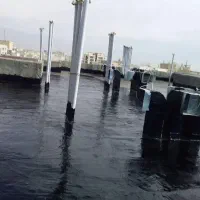 ایزوگام قیرگونی در محمود آباد، نور، رویان ،نوشهر|خدمات پیشه و مهارت|رویان, |دیوار