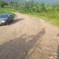 فروش باغ چای|فروش زمین و ملک کلنگی|رانکوه, |دیوار