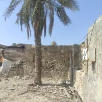 زمین-ثبتی-تک-برگ-بهترین-نقطه-برای-ساخت-خانه