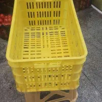 سبد