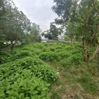 زمین-مسکونی-روستایی-324متری-با-پروانه-ساخت