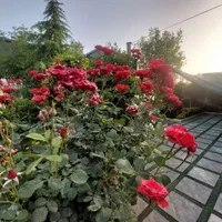 باغ ویلا۵۰۰م.کردان.تهراندشت.سرخاب|فروش خانه و ویلا|کرج, کوی مدرس|دیوار