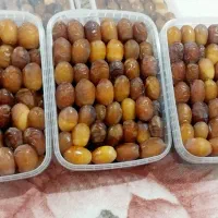 رطب