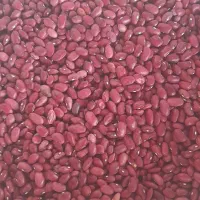 لوبیا|عمده‌فروشی|چناران, |دیوار