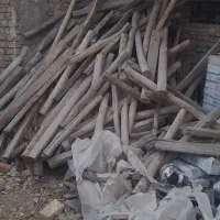 چوب سپیداری خشک