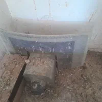 هود|هود|بندر کنگان, |دیوار