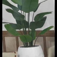 گلدان|گل مصنوعی|خرمآباد, |دیوار