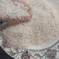 برنج طارمی هاشمی