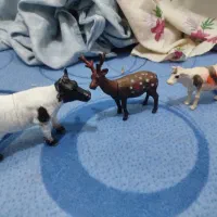 همه شون تمیز سالم